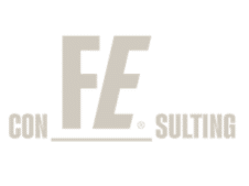 FE Consulting